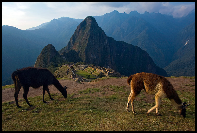 Machu Picchu - 2