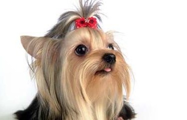 210ED84E53015CC727B095