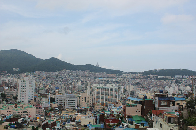 꿈도리 이미지