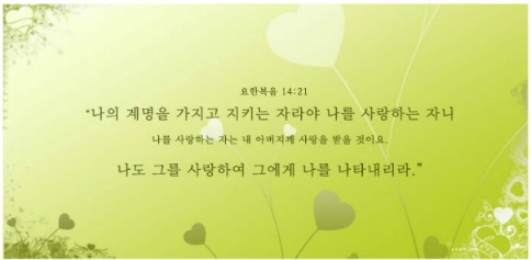 라이너스의 담요.....하나님의교회[패스티브]