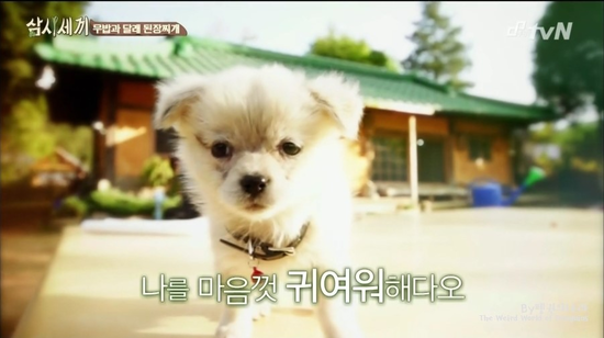더블클릭을 하시면 이미지를 수정할 수 있습니다