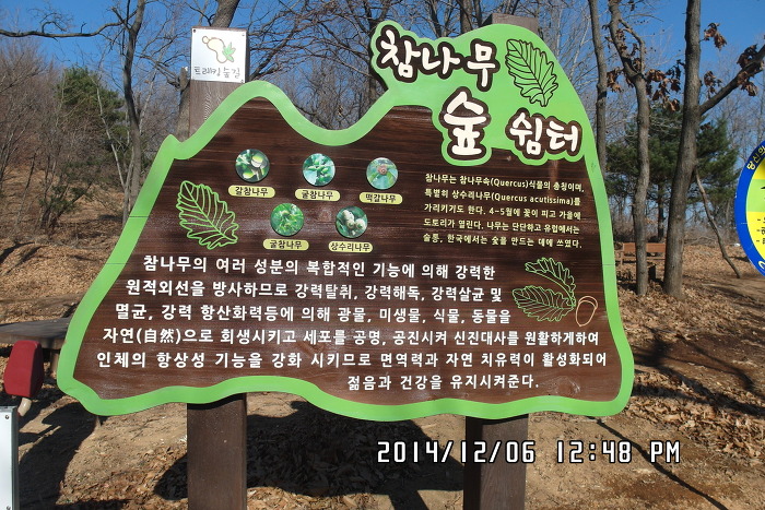 망월산 정상 이미지