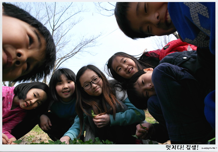 우리학교는 들꽃 천국입니다.
