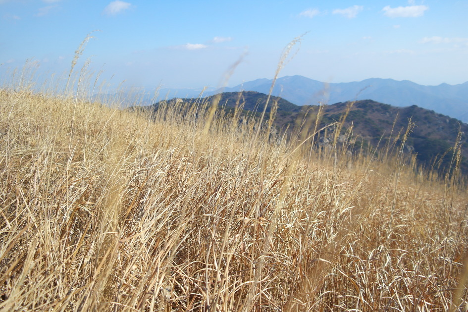 천성산(원효봉) ~ 천성산2봉(비로봉)