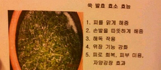 자연식품& 발효 효소 효능