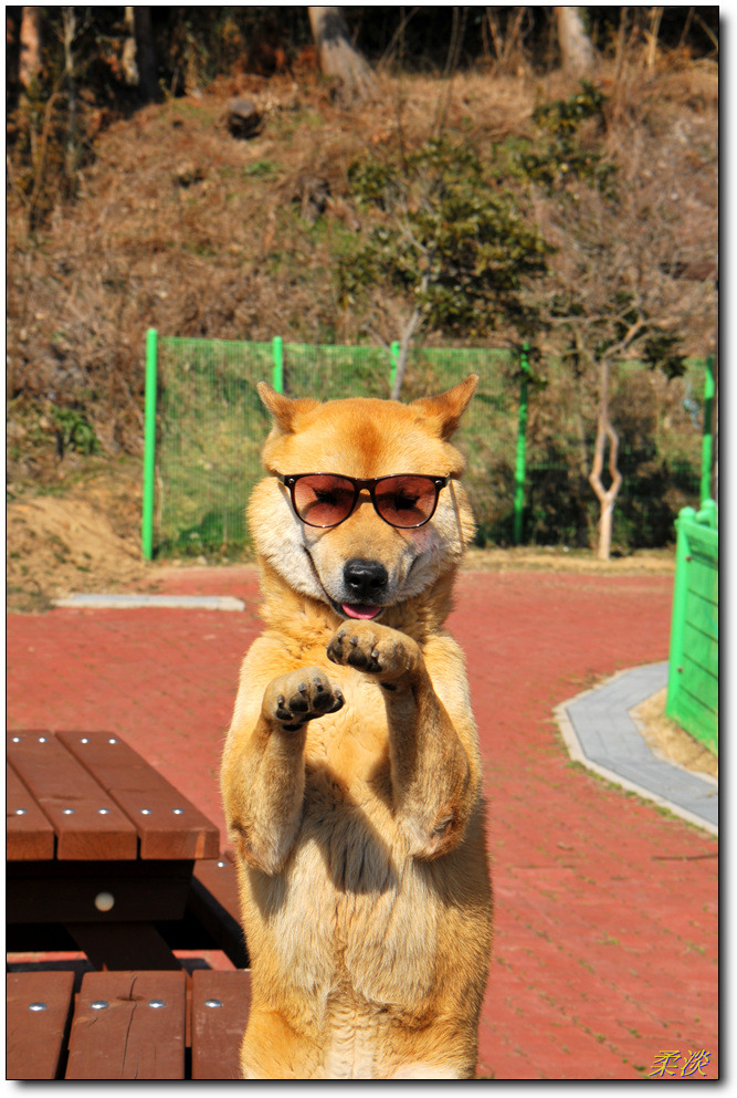 강토 이미지