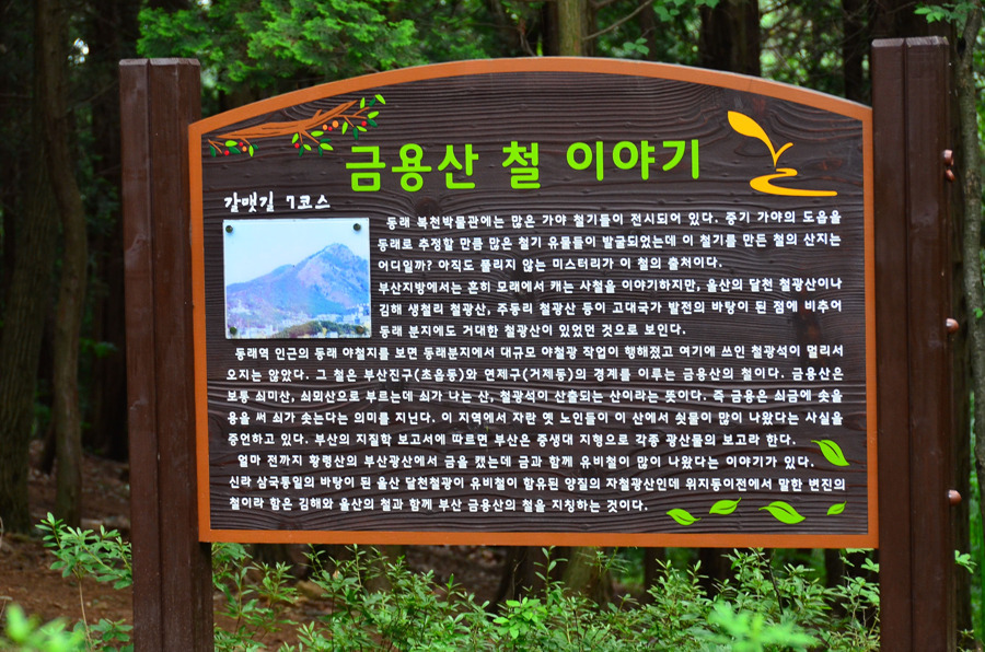 <495차>백양산 연봉의 운무를 헤치며,,