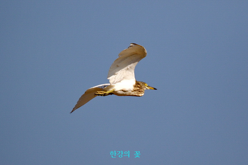 어떤날 태국하늘에