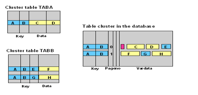 abap-dictionary-other-database-object-pooled-cluster-table