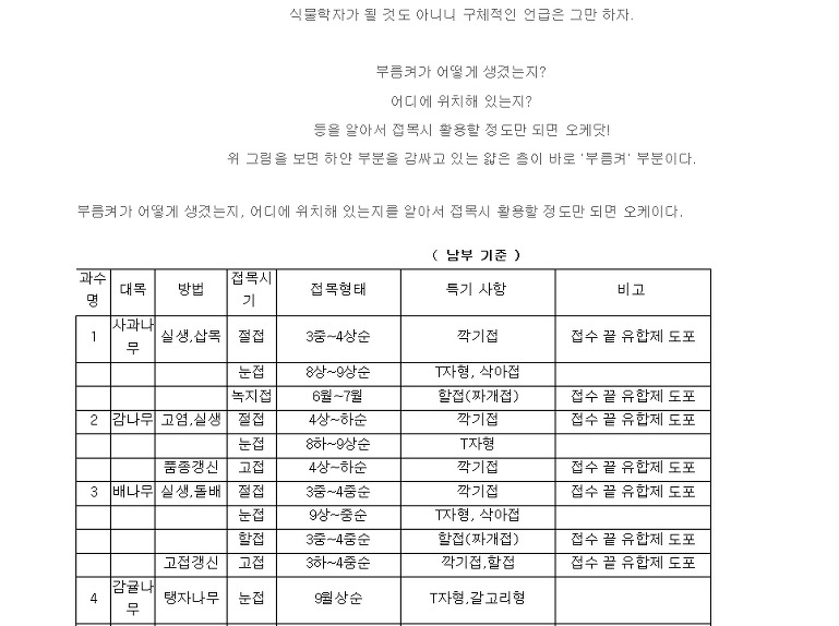 망치접목 녹지접목 동영상
