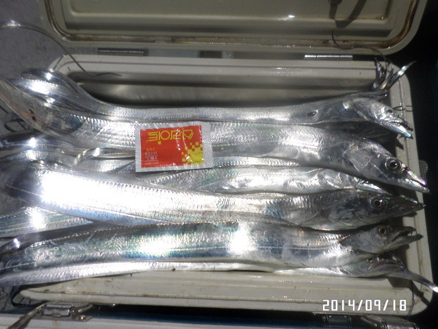 2470CB3C541A07FF1060EE