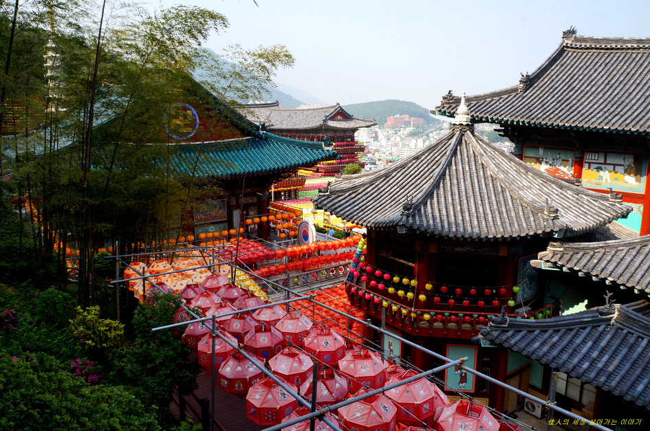 부산 삼광사 연등