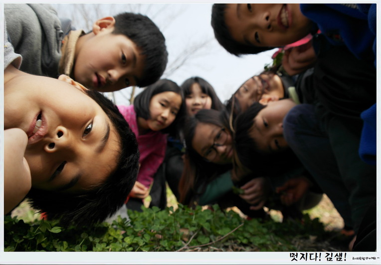 우리학교는 들꽃 천국입니다.