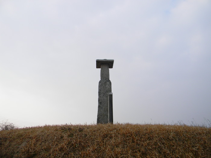 서로 애타게 바라보고 있는 익산 고도리 석불입상 (석조여래입상)