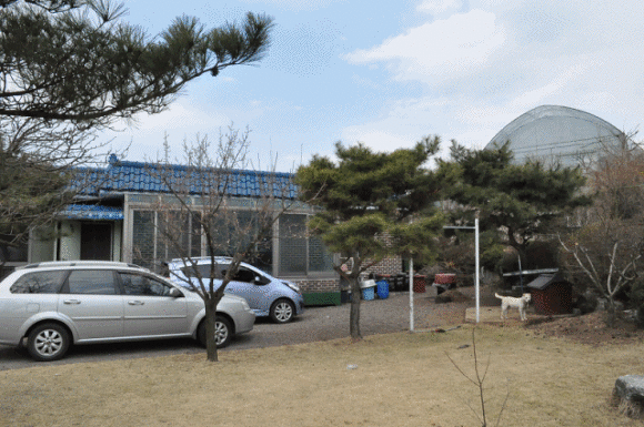 봄바람 불어오니