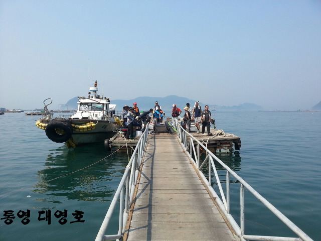 대영호]8월10~11일 주말 조항입니다!상사리가~