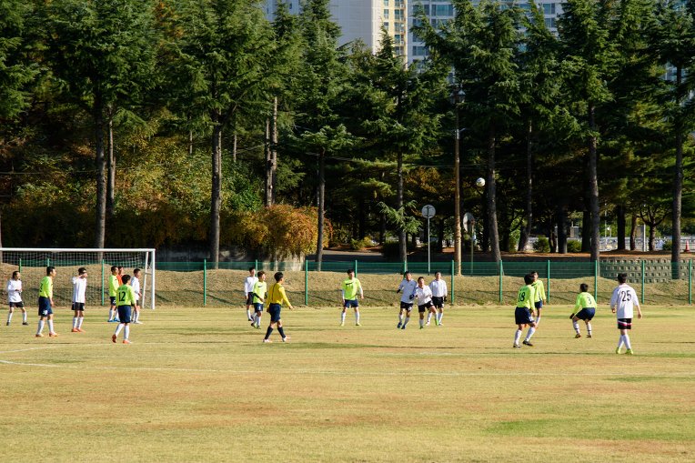 274079395636CD2832D860