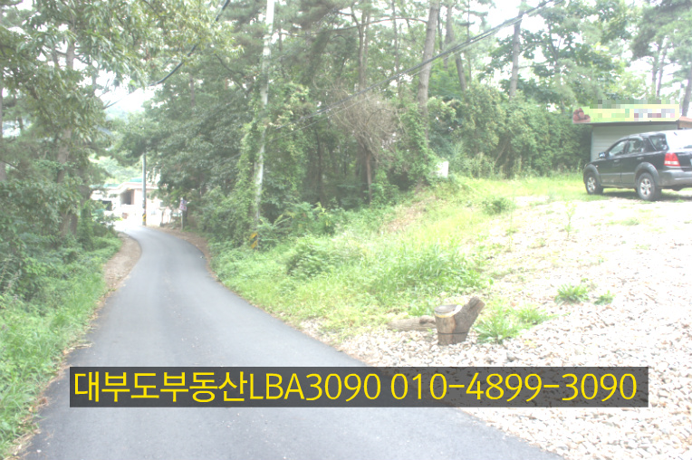 소나무가든 이미지