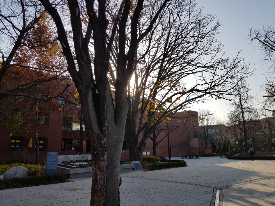 굶주린 사랑