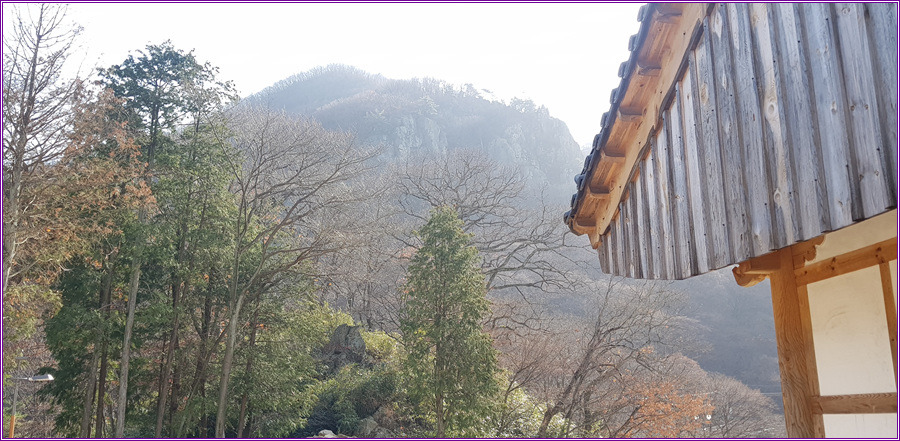 가버린 가을,장안사의 풍경