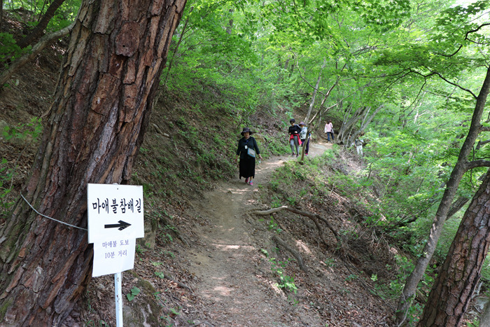 원본이미지(클릭)