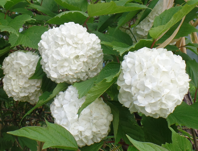 현재의 상태에 정복되지 않으려면