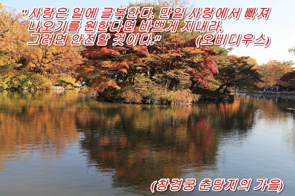 <오비디우스 말 하기를>