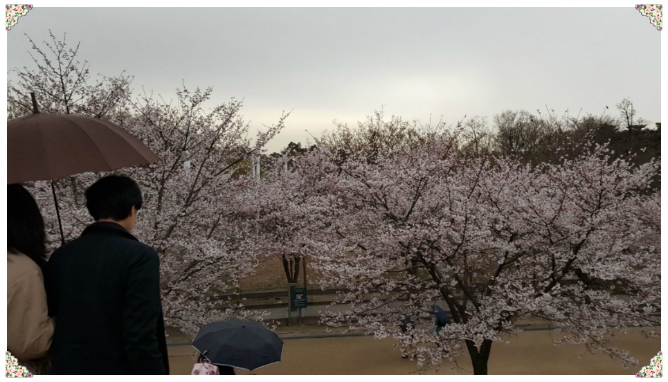 봄 나들이 다녀오다..[응봉산과 서울숲]