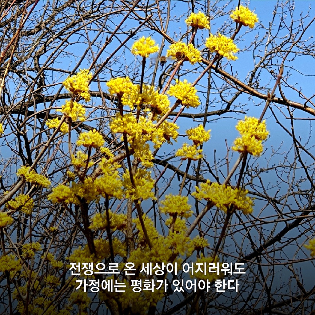 금전은 비료와 같은 것으로 