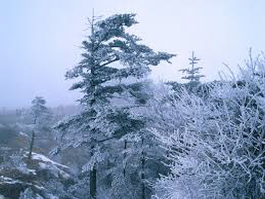겨울풍경