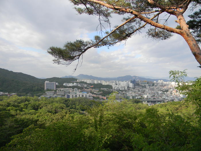 정법사 뒷통수에서 접근한 북악산길 (산사길, 숲속다리, 다모정~정릉 뒷쪽 구간, 북악스카이웨이)