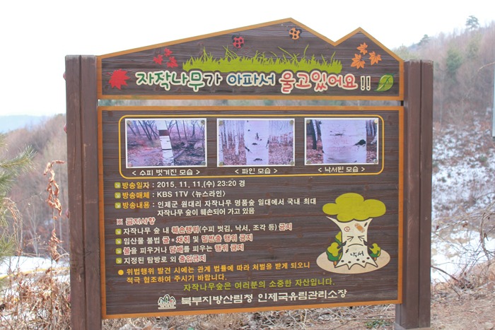 원본이미지(클릭)