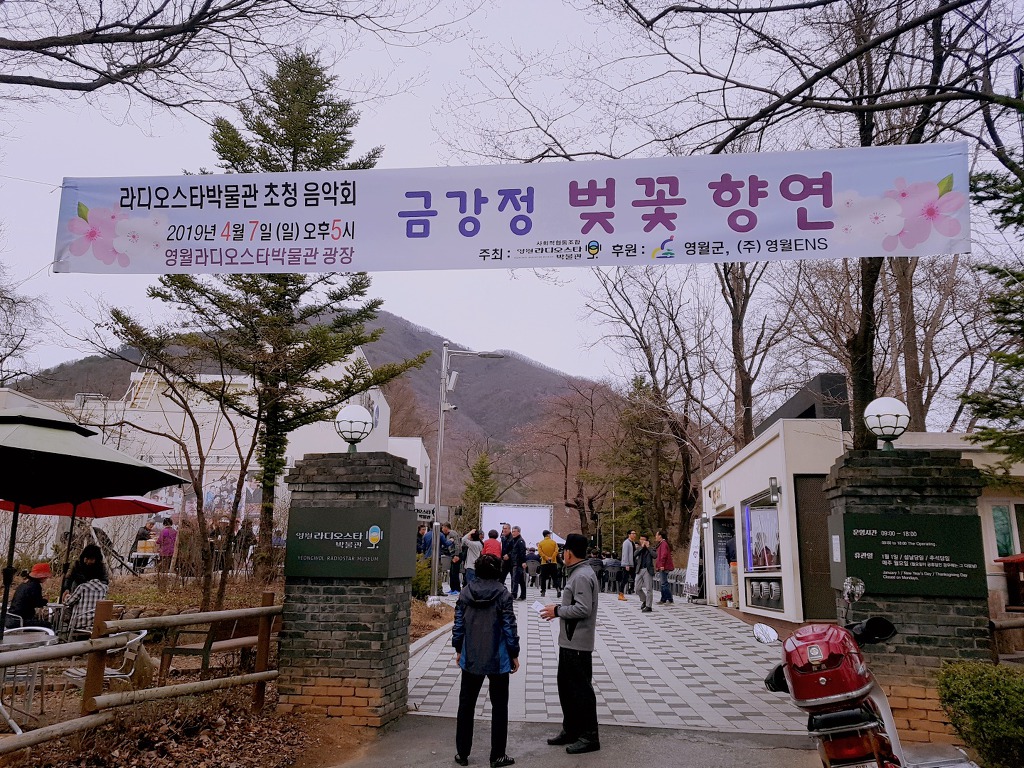 영월 라디오스타박물관 초청 음악회 '금강정 벚꽃향연'