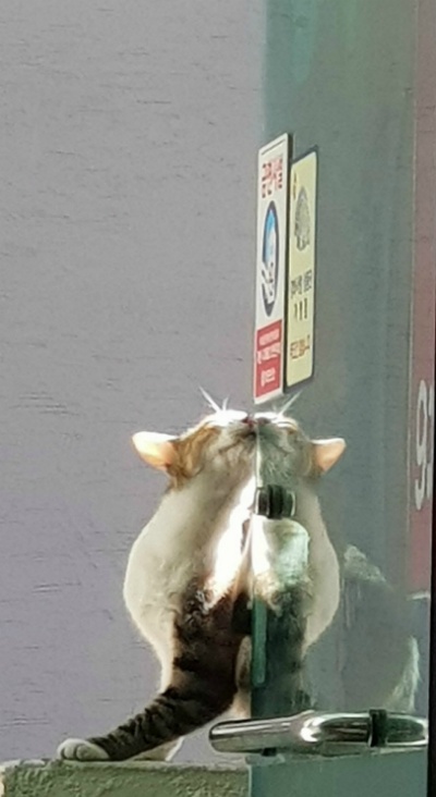 2018-10-31 수요일