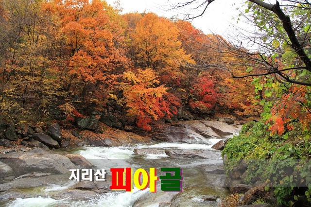 전라도 2018년 11월 축제와 여행지는 어디일까?