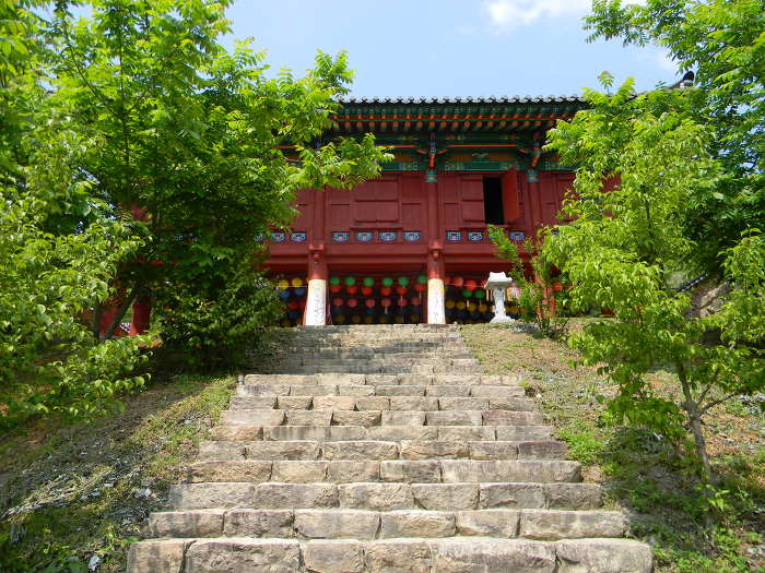 함평 모악산 용천사 (대웅전, 꽃무릇)