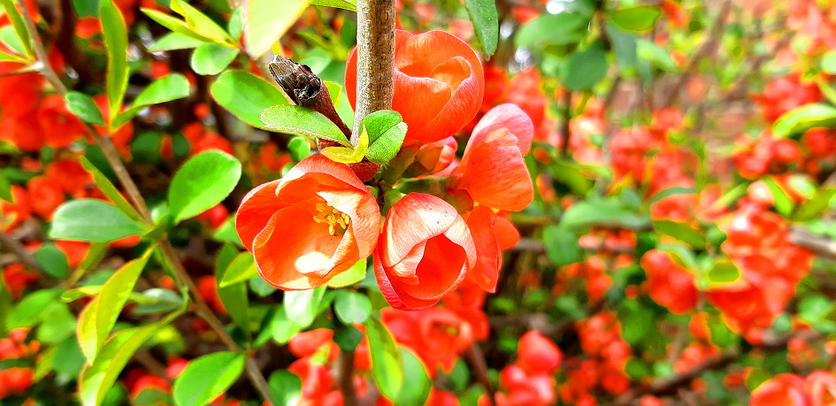 오랜만에 딸네 집으로 마실을 갔습니다.