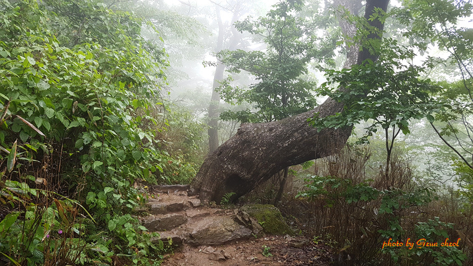지리산 반야봉..2018.09.02