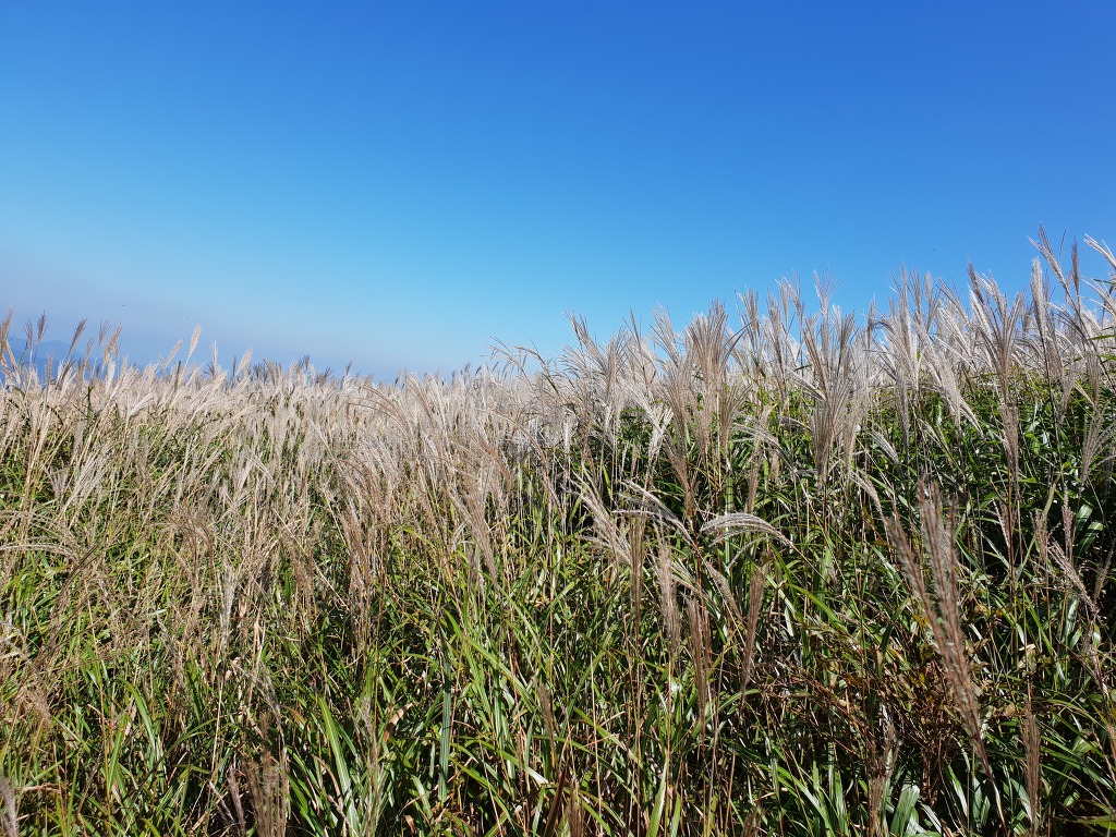 신불산