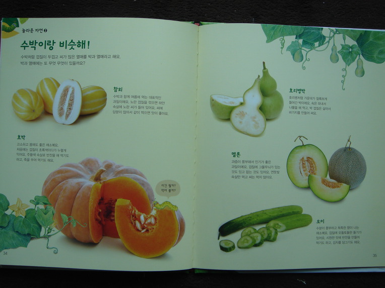 그레이트북스놀라운자연, 자연학습장이네요.놀라운자연 입니다.
