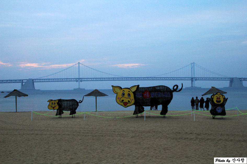 광안리해변과 갈맷길을 걷다(19.1.5)