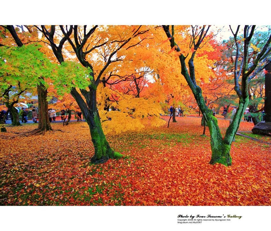 Kyoto 가을