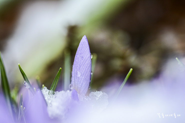 마음에도 씨가 있습니다. 