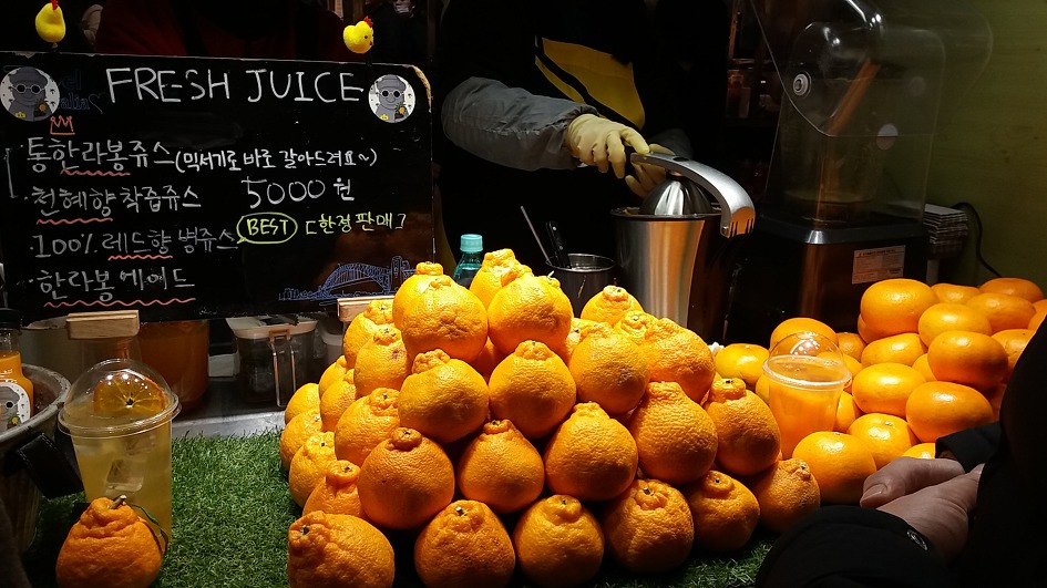 제주  야간여행  동문재래시장  야시장  먹거리
