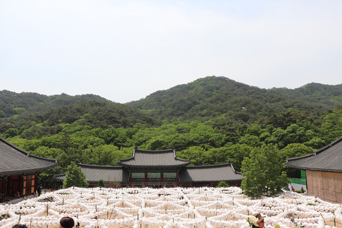 원본이미지(클릭)