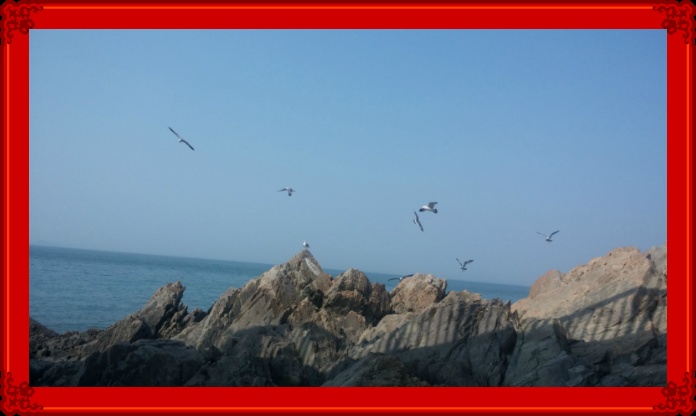 ***파도/바니걸스*** 