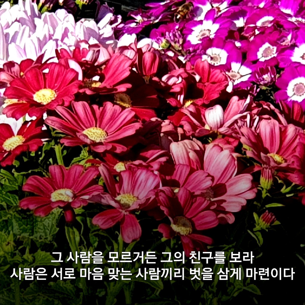 금전은 비료와 같은 것으로 