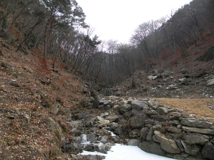 청주에서 제일 벽지에 숨겨진 고찰, 구룡산 월리사 (월리사 대웅전)