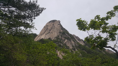 [하루 한문장]