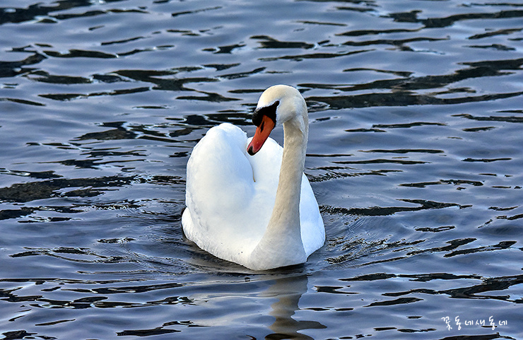 미소 짓는 하루